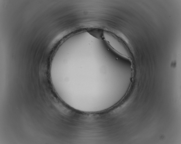 X0000092010922200709271526