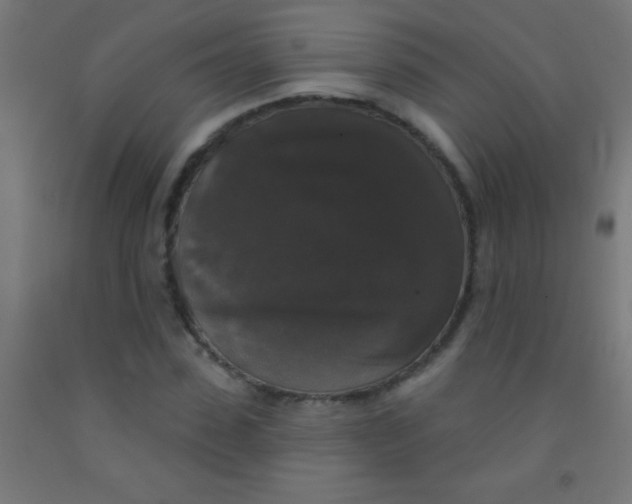 X0000092010923200709271526