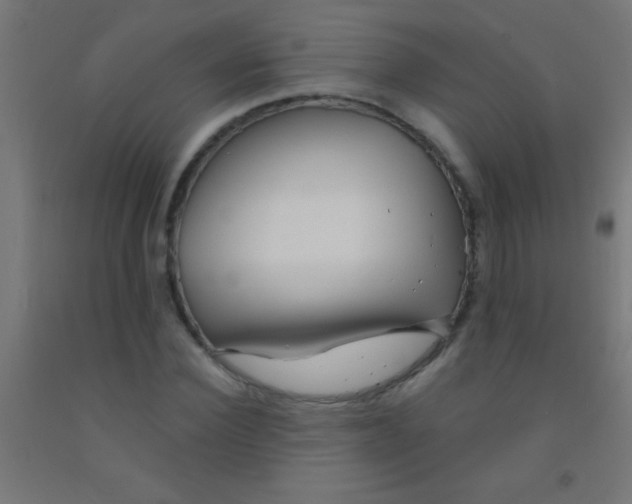 X0000092010924200709271526