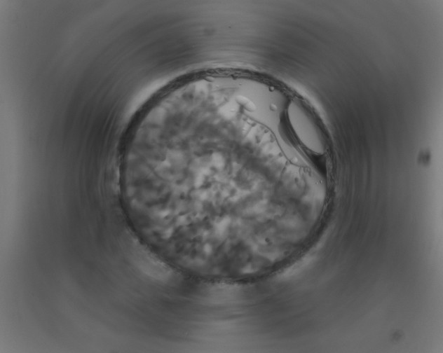 X0000092010925200709271526