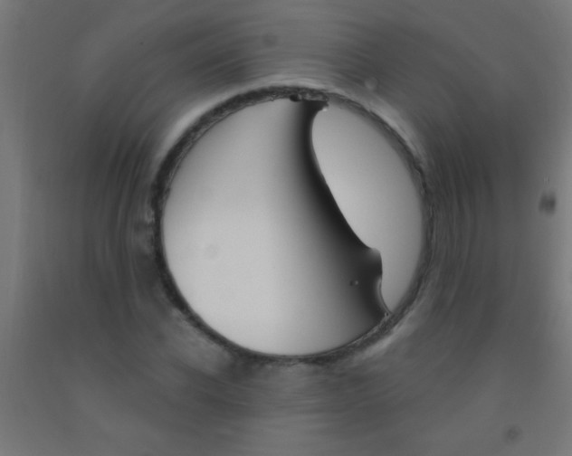 X0000092010926200709271526