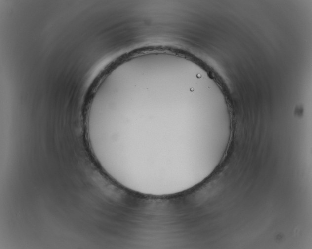 X0000092010927200709271526