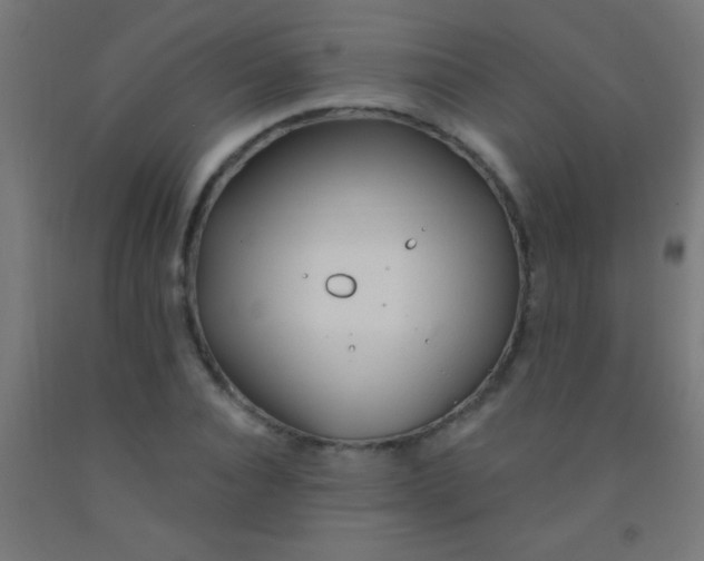 X0000092010928200709271526