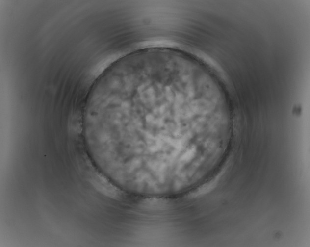 X0000092010929200709271526