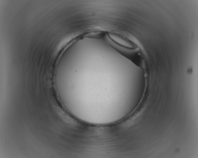 X0000092010930200709271526