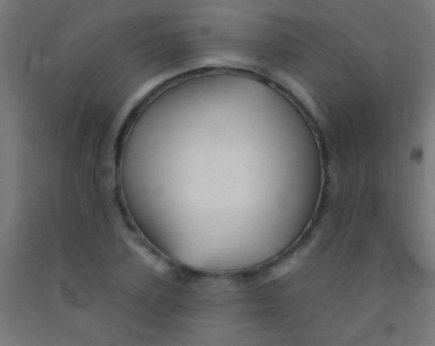 X0000092010931200709271526