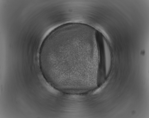 X0000092010932200709271526