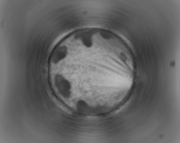 X0000092010933200709271526