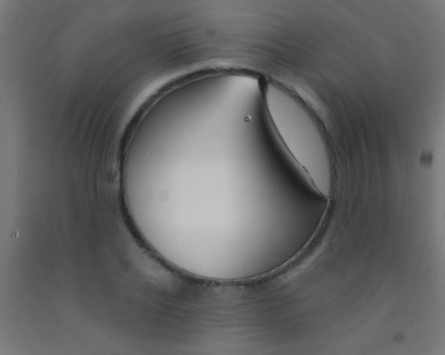 X0000092010934200709271526