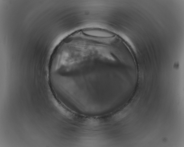 X0000092010935200709271526