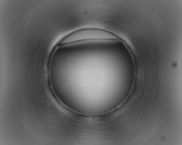 X0000092010936200709271526