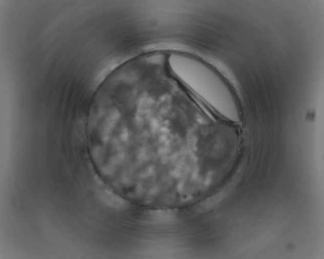 X0000092010937200709271526