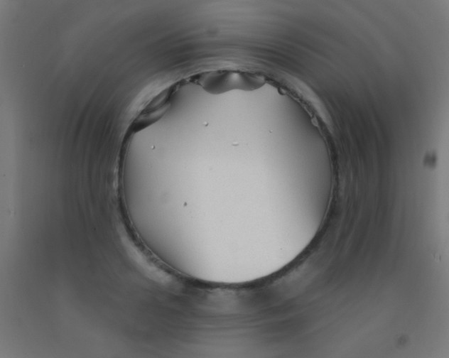 X0000092010938200709271526