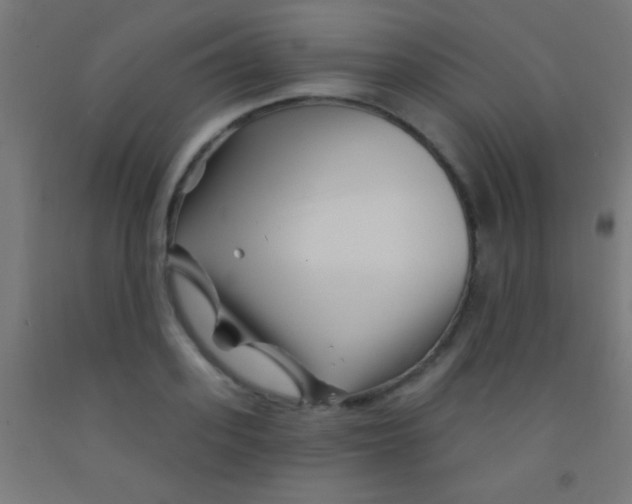 X0000092010939200709271526