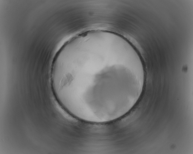 X0000092010941200709271526