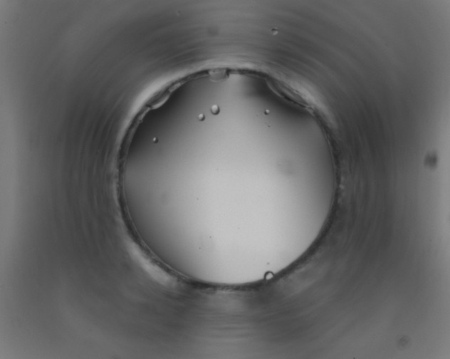 X0000092010942200709271526