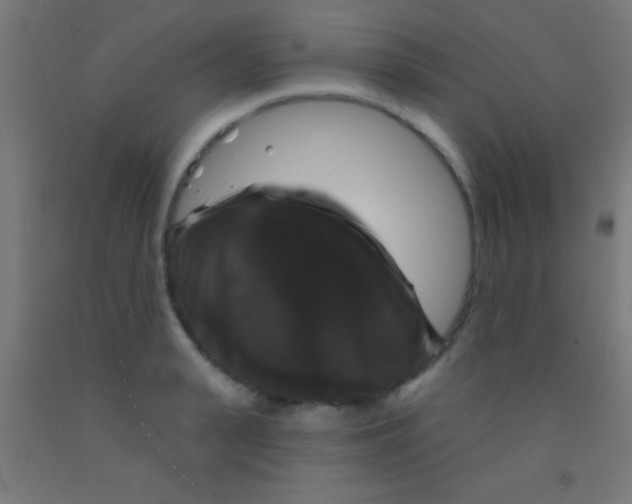 X0000092010943200709271526