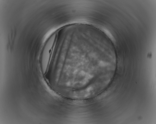 X0000092010944200709271526