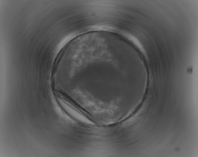 X0000092010946200709271526