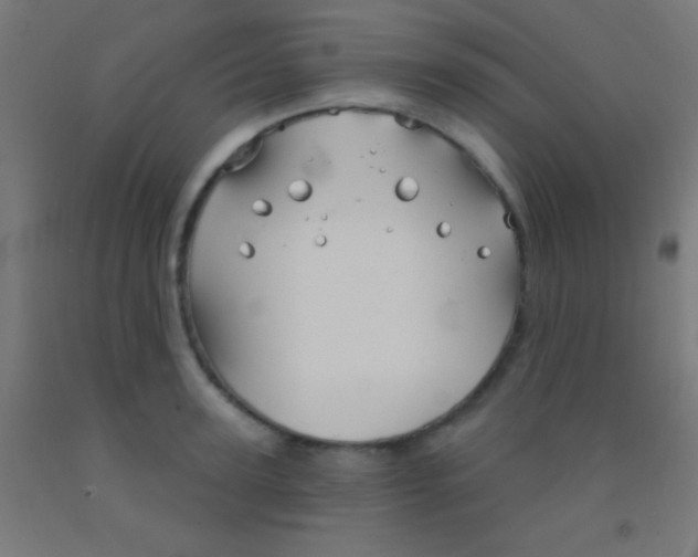 X0000092010947200709271526