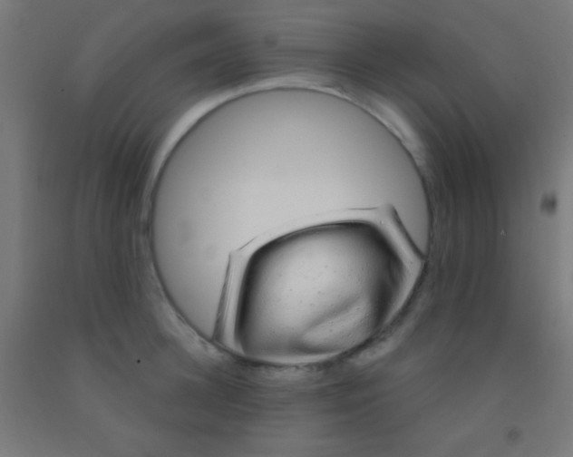 X0000092010948200709271526