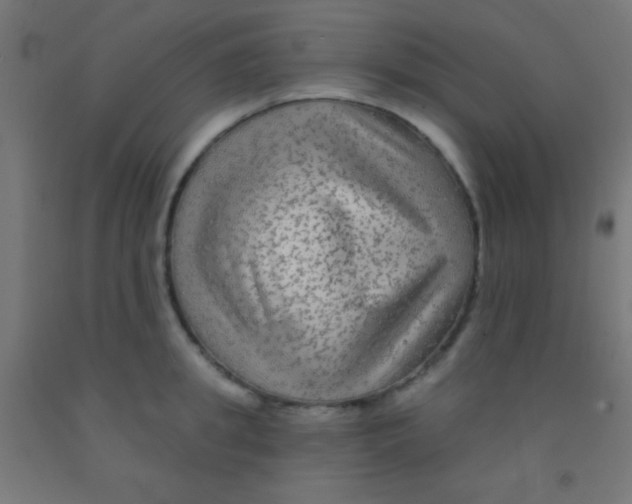 X0000092010949200709271526