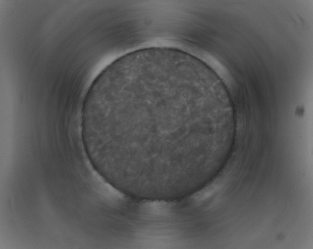 X0000092010950200709271526