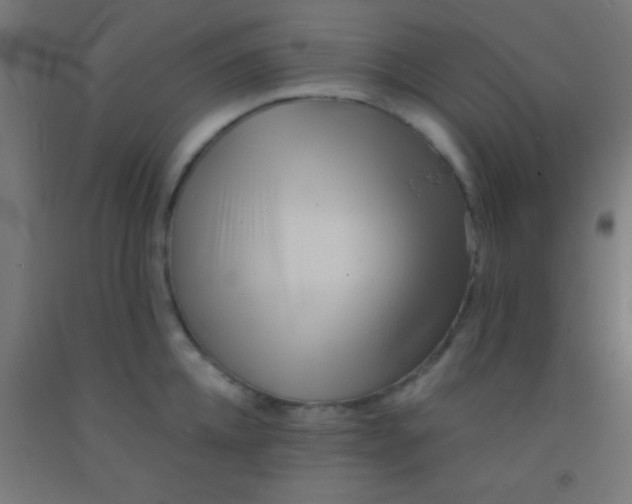 X0000092010952200709271526