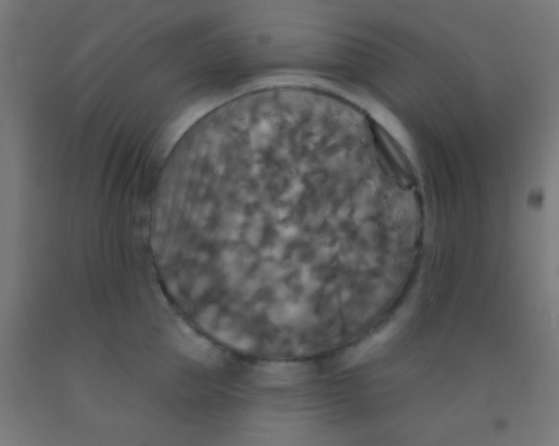 X0000092010953200709271526