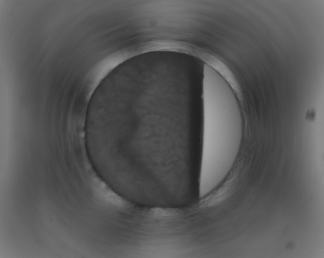 X0000092010954200709271526