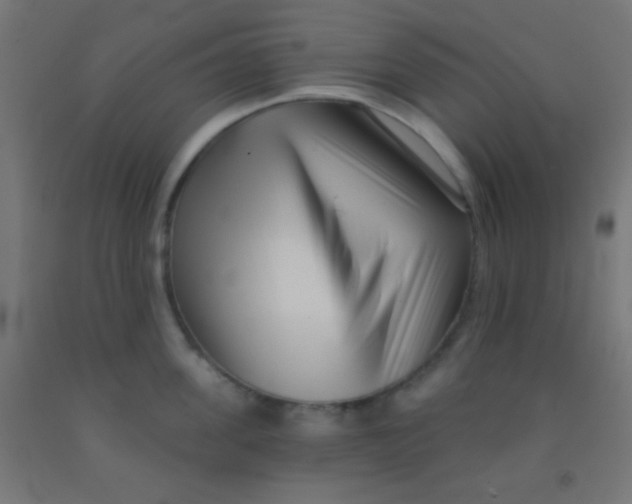 X0000092010955200709271526