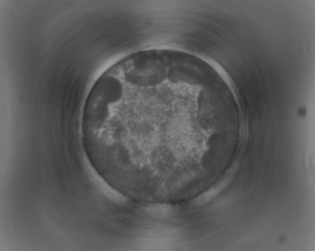 X0000092010957200709271526