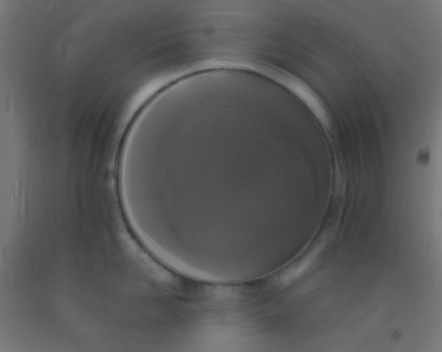 X0000092010958200709271526