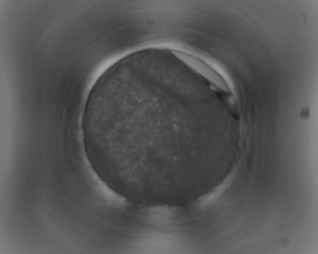 X0000092010959200709271526