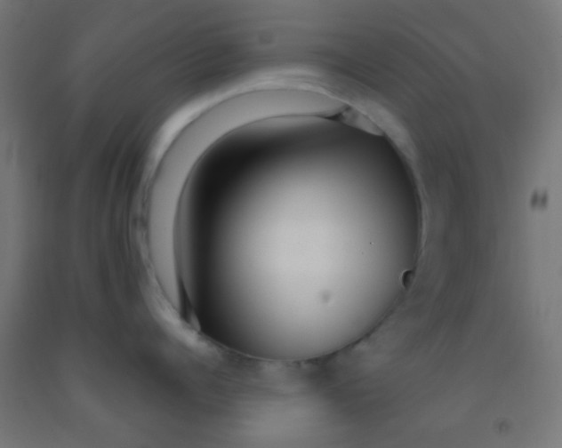 X0000092010960200709271526