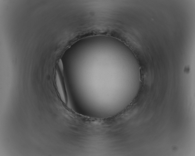 X0000092010961200709271526