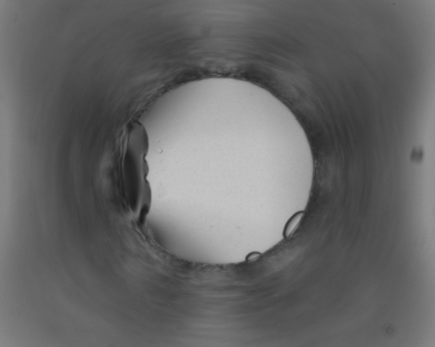 X0000092010962200709271526