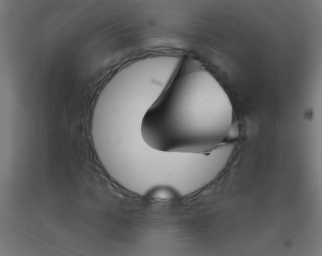 X0000092010965200709271526