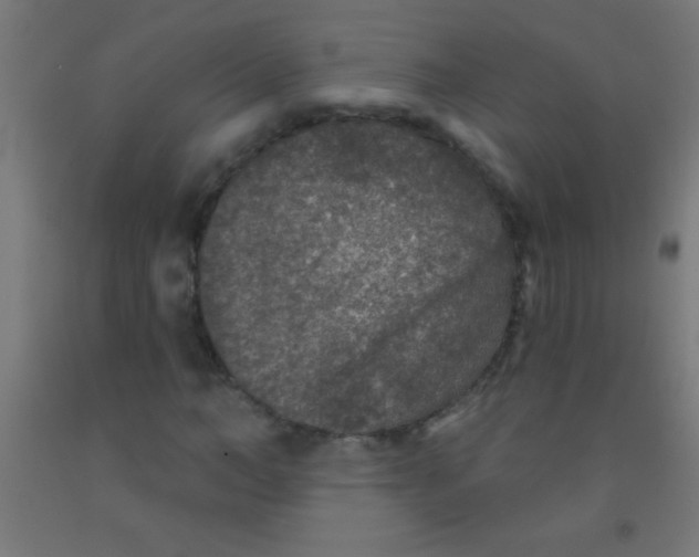 X0000092010966200709271525