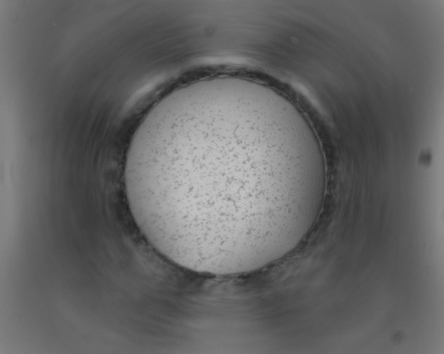 X0000092010967200709271525