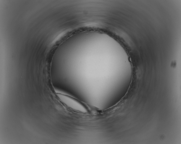 X0000092010968200709271525