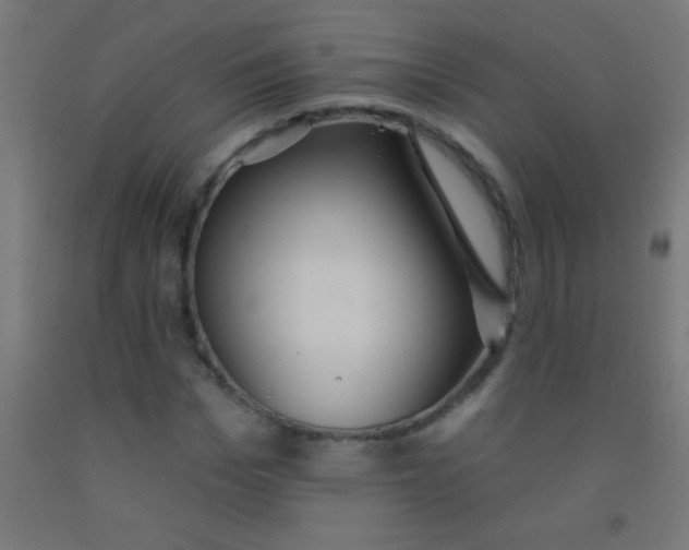 X0000092010969200709271525