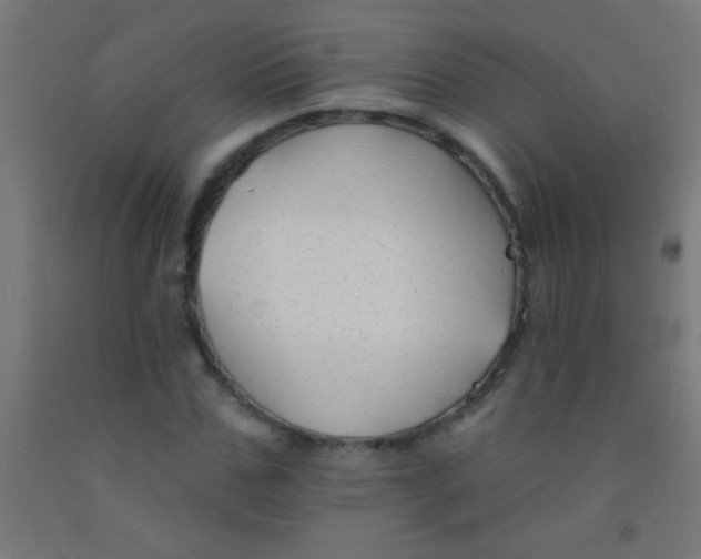 X0000092010971200709271525