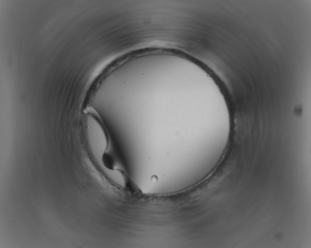 X0000092010972200709271525