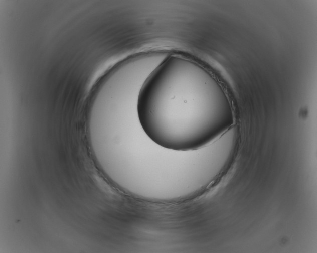 X0000092010973200709271525