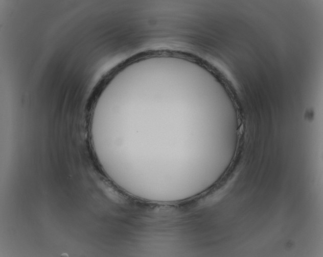 X0000092010974200709271525