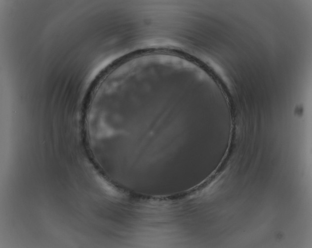 X0000092010975200709271525