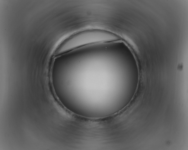 X0000092010976200709271525