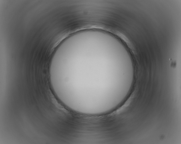 X0000092010977200709271525