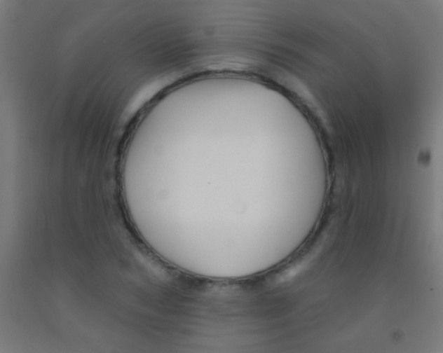 X0000092010978200709271525